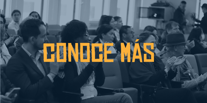 socio organizacional conoce más