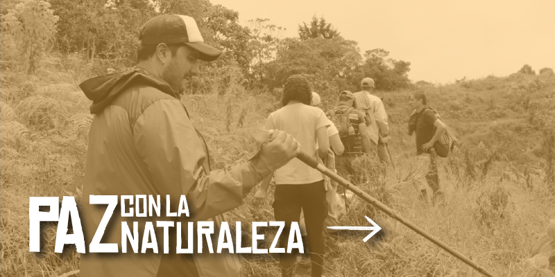 paz con la naturaleza