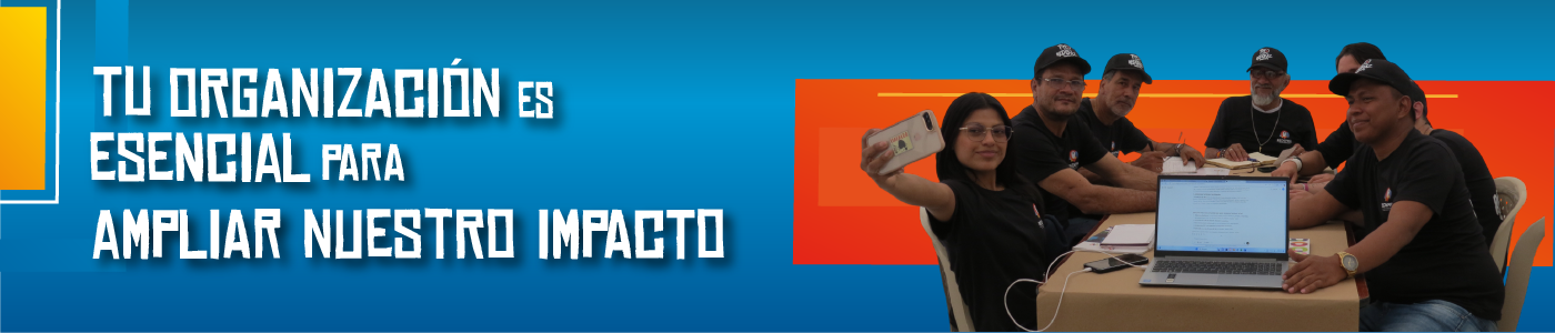 Organización aliada