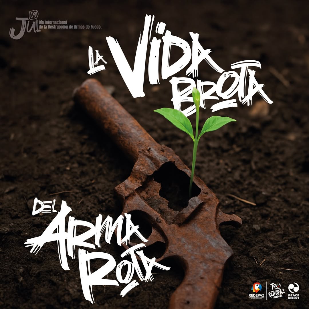 Reflexiones sobre la importancia del desarme en Colombia